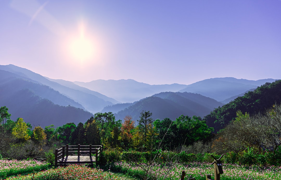 초여름 무더위 건강 관리법, 온열질환 예방 필수 수칙
