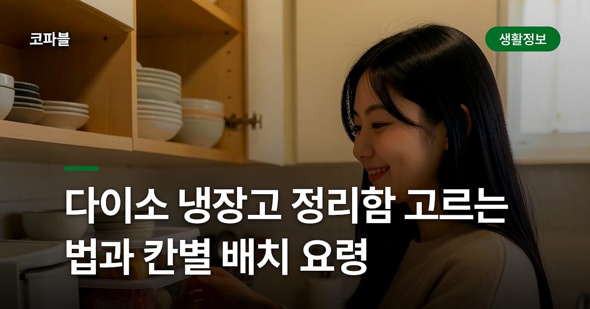 다이소 냉장고 정리함 고르는 법과 칸별 배치 요령